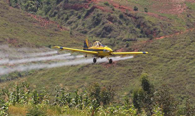 Desert Locusts: Govt to use aerial spray to kill the insects